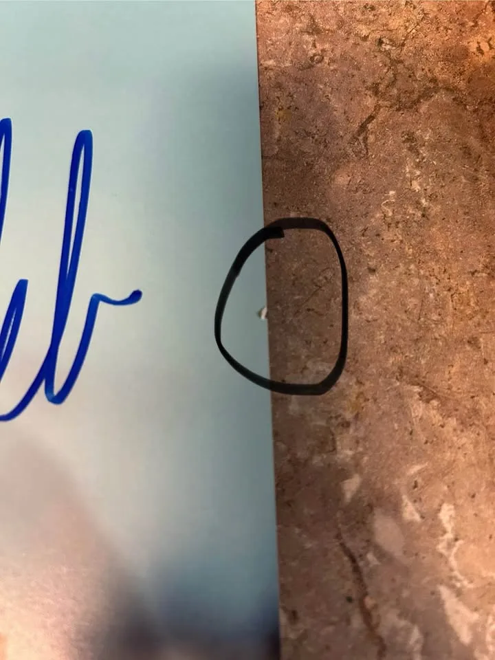 Caleb McLaughlin Autograph 8x10 Stranger Things image indicator(2)