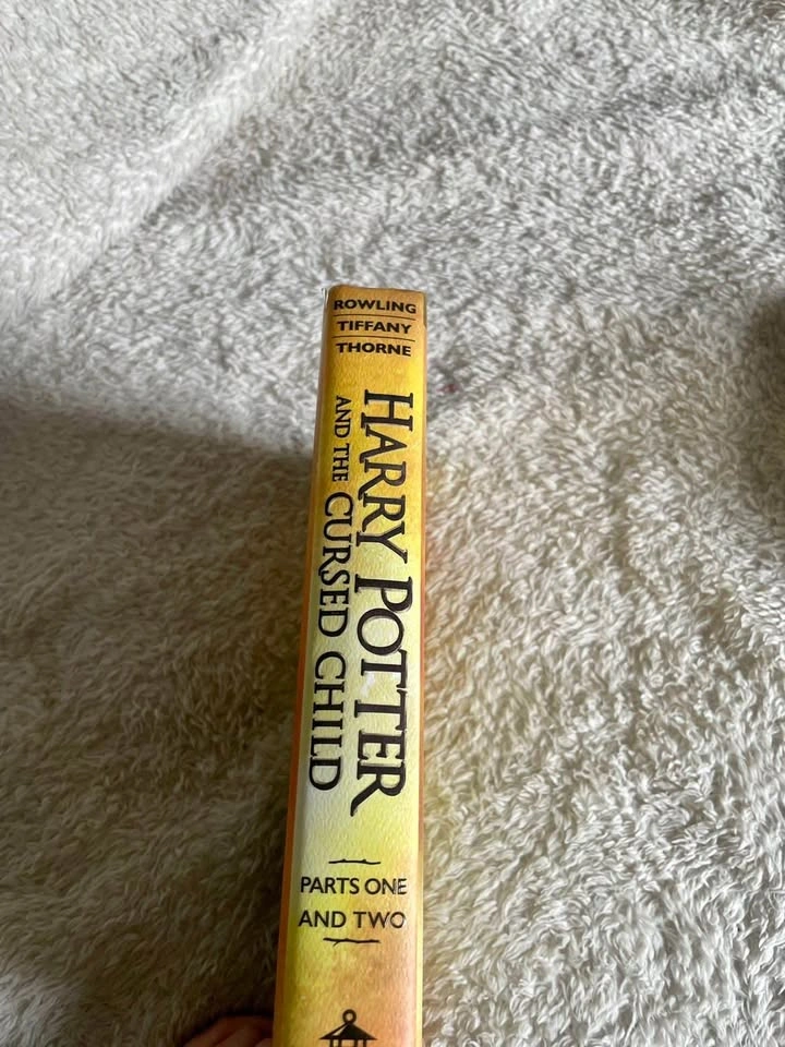 Harry Potter And The Cursed Child- Parts 1 & 2 - photo 2