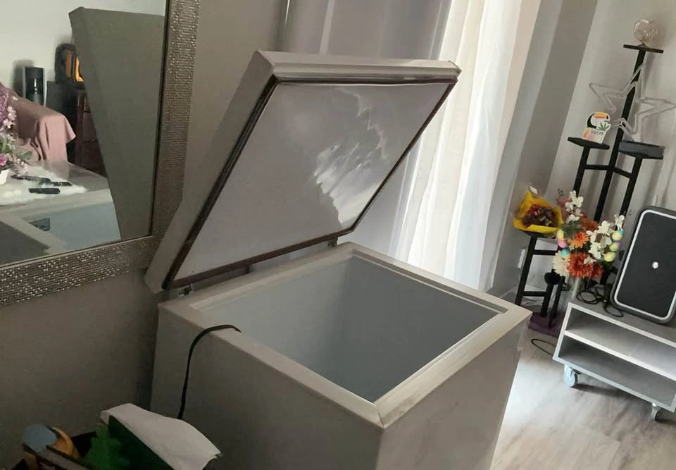 White Chest Freezer - photo 2
