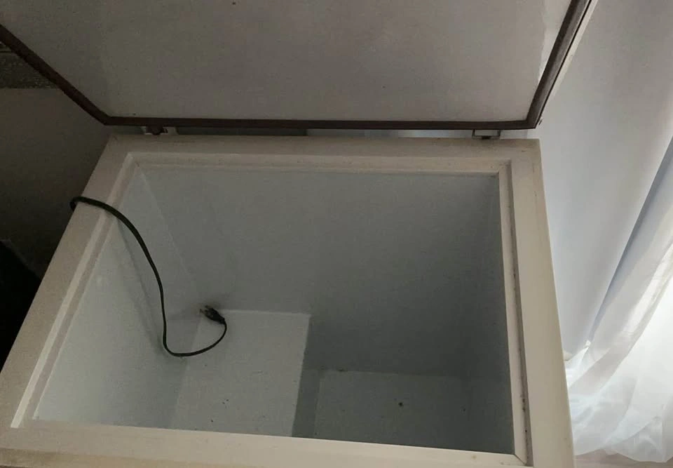 White Chest Freezer - photo 3