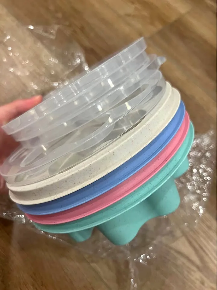 4 Pack Bento Lunch Box - BPA-Free thumbnail