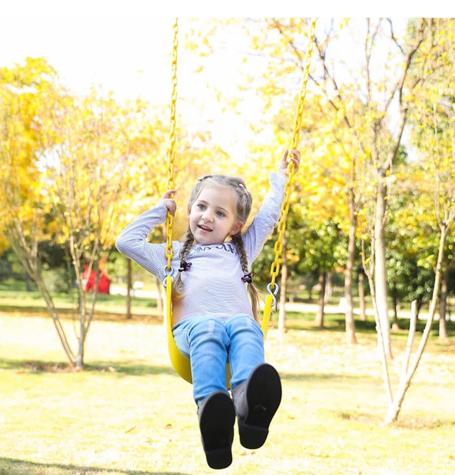 Swing Seat New - photo 5