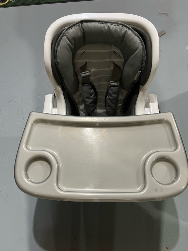 Ingenuity Baby/Infant Feeding Chair