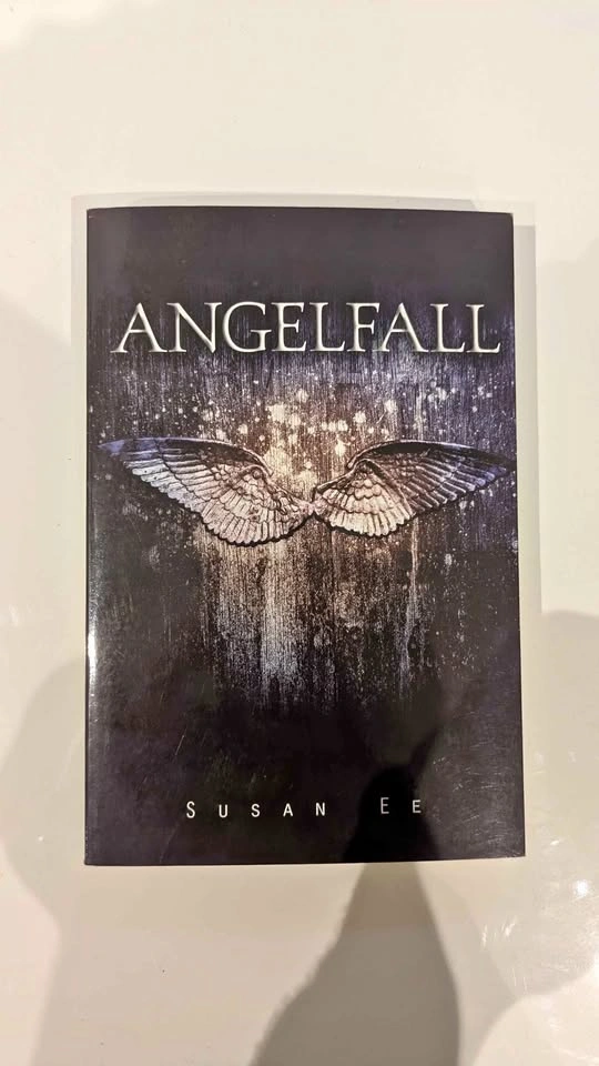 Angelfall y.a book