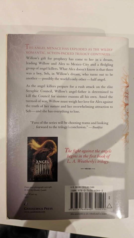 "Angel fire" Y.A book - photo 2