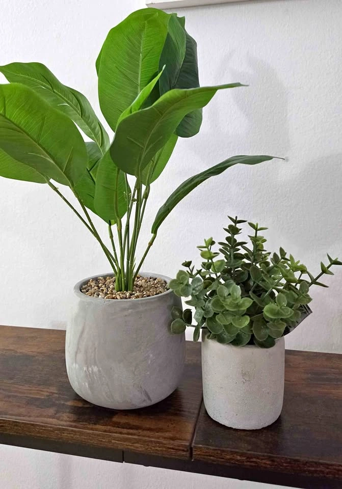 Home Decor Items