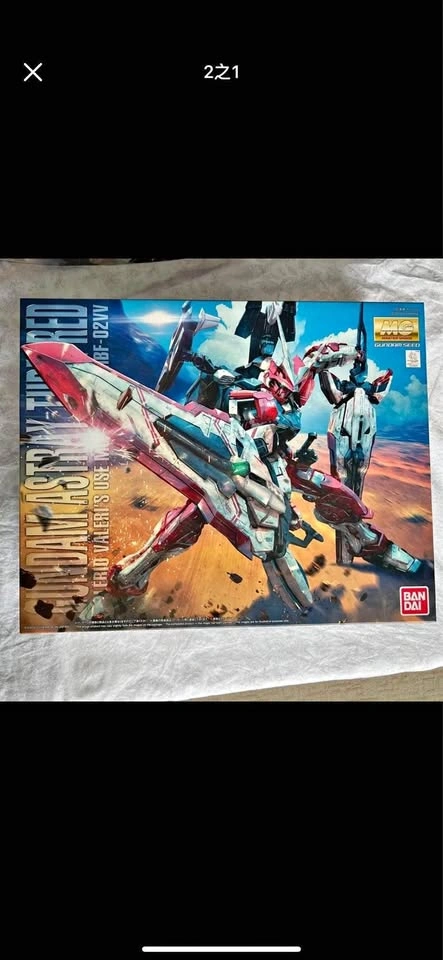MG Gundam Astray Turn Red
