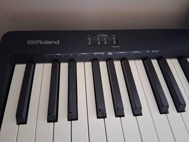 Roland FP-10 Piano - Lightly Used - photo 2