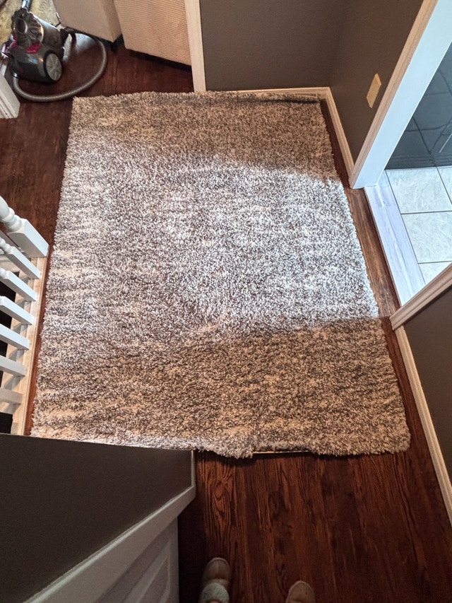 Cam Rosedale Shag Carpet from Costco 5x7