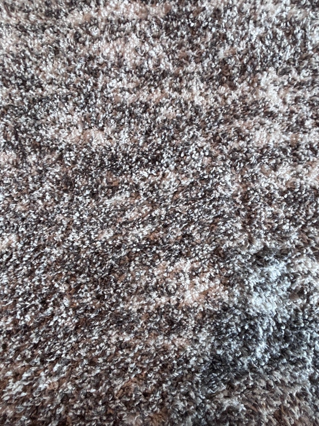 Cam Rosedale Shag Carpet from Costco 5x7 - photo 2