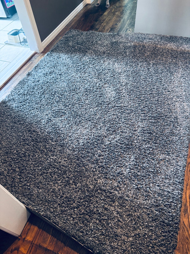 5x7 Brooklyn Shag Rug from Costco
