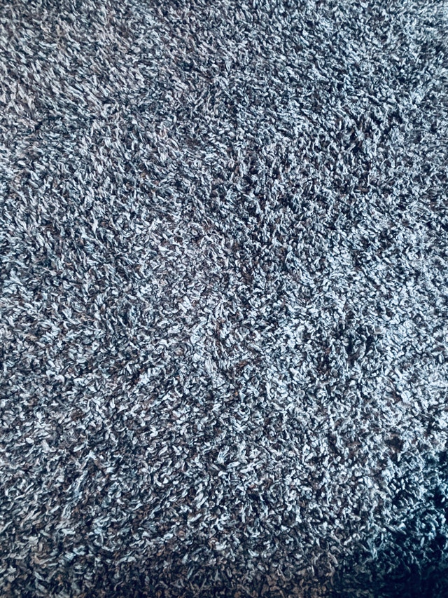 5x7 Brooklyn Shag Rug from Costco - photo 2
