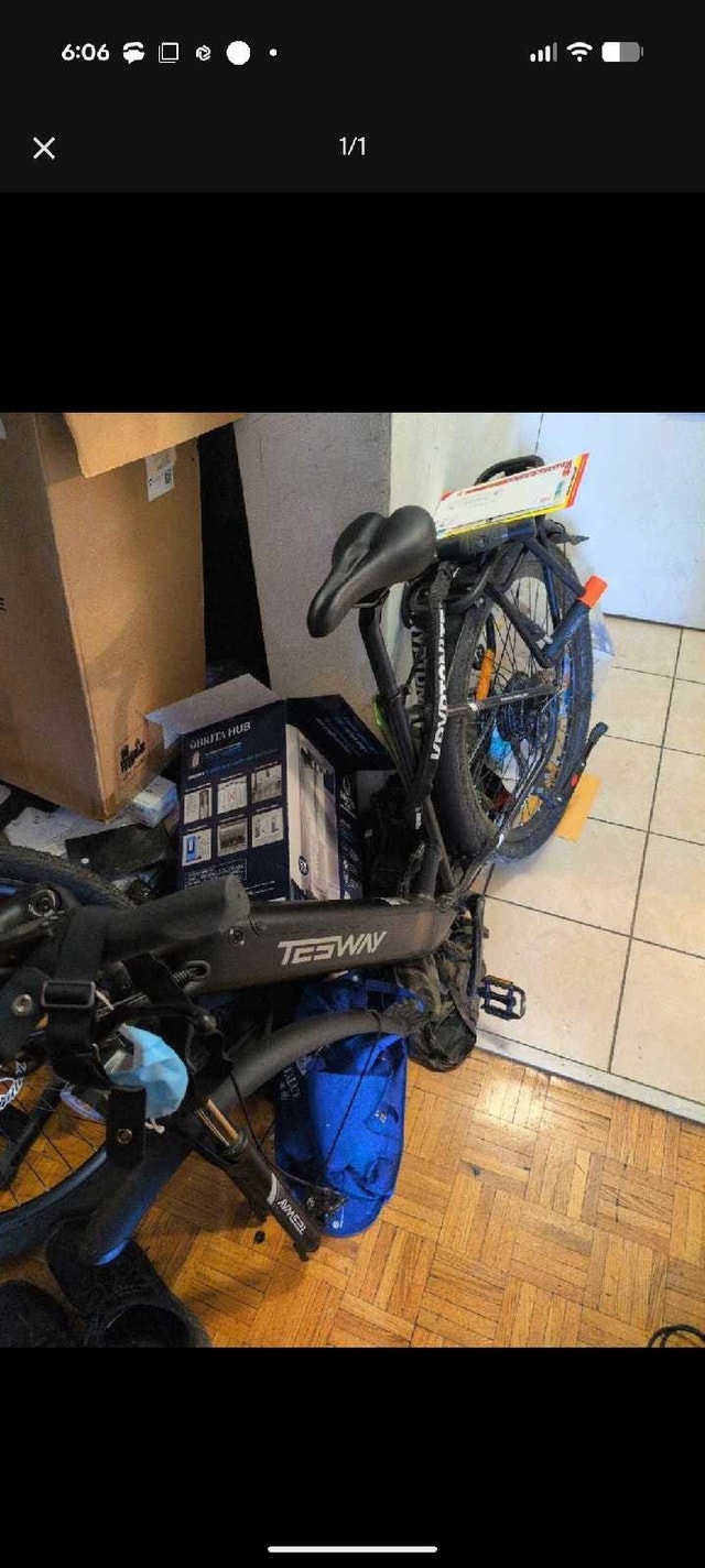 Tesway Walker E-Bike - photo 2