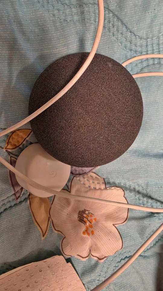 Google Nest Mini