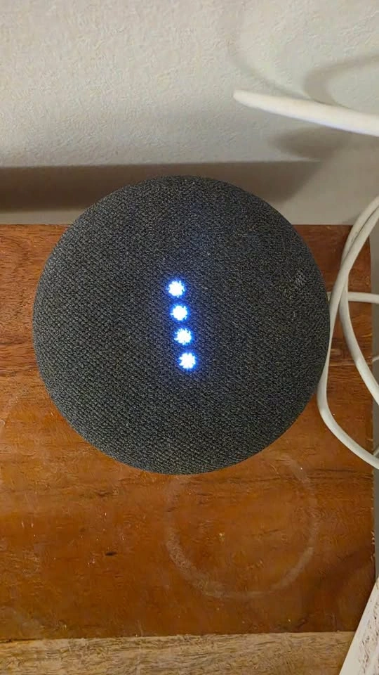 Google Nest Mini - photo 2