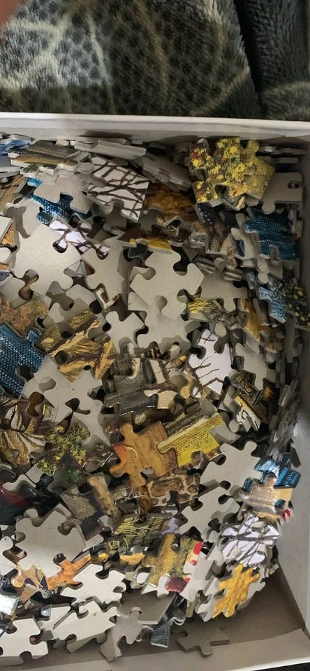 Puzzle - photo 2