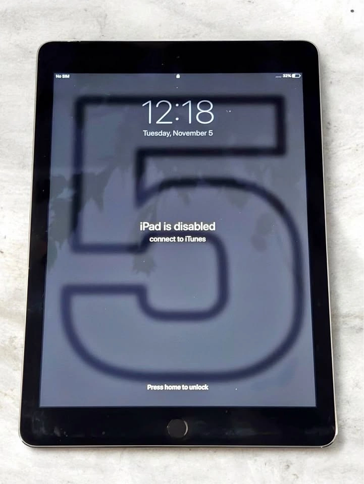 iPad Air 2 (Wi-Fi + Cellular model)
