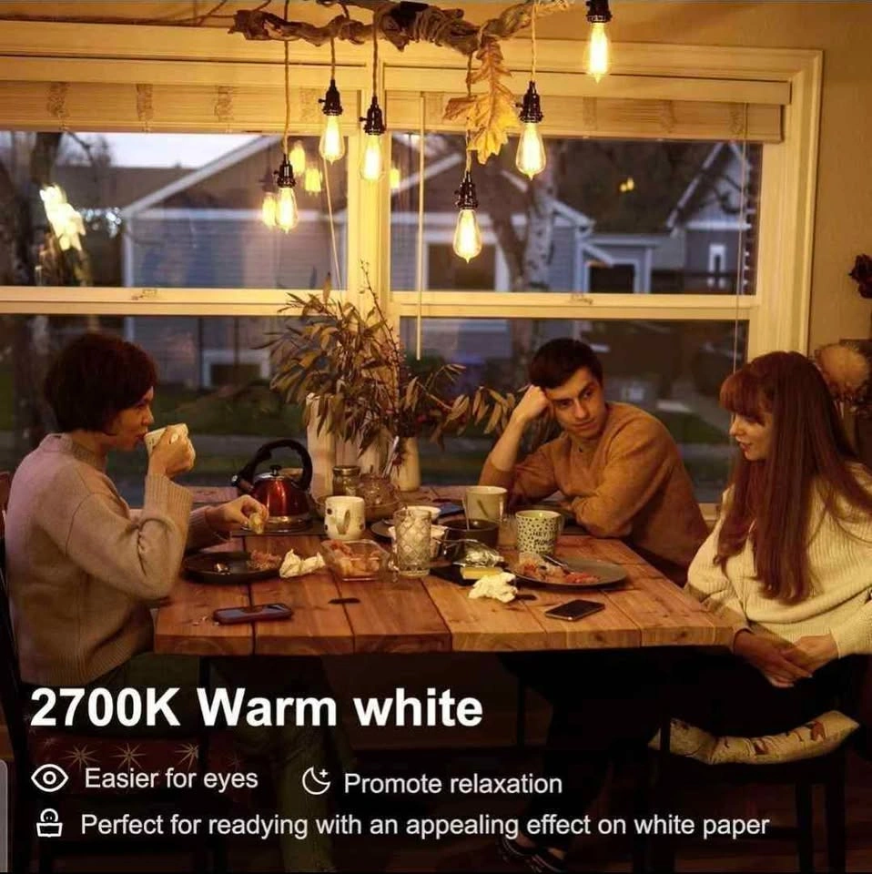 TJOY 10 Pack Vintage 8W ST58 LED Edison Light Bulbs - photo 3