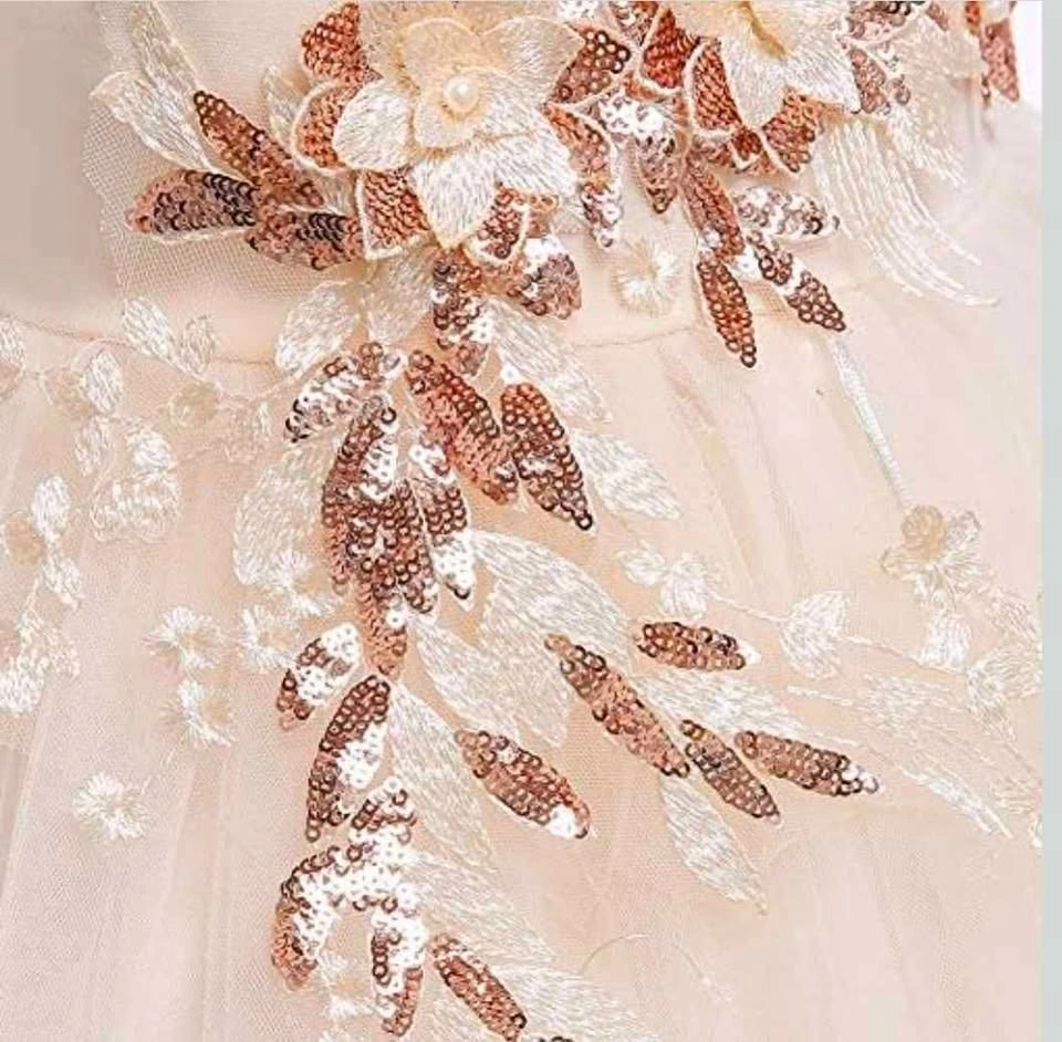 Baby Girl Princess Pageant Birthday Wedding Dress - photo 3