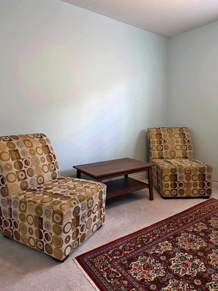 2 Accent Chairs