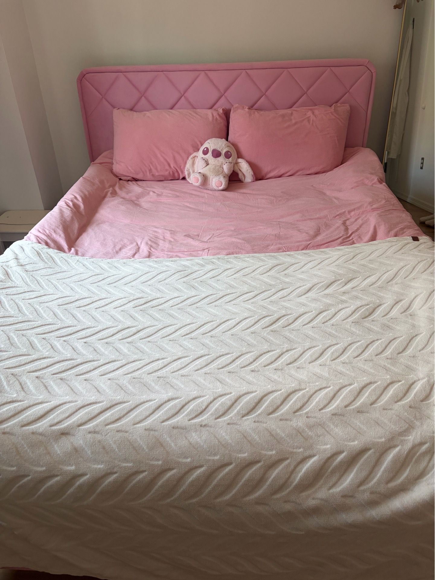 Queen Bed frame and Mattress