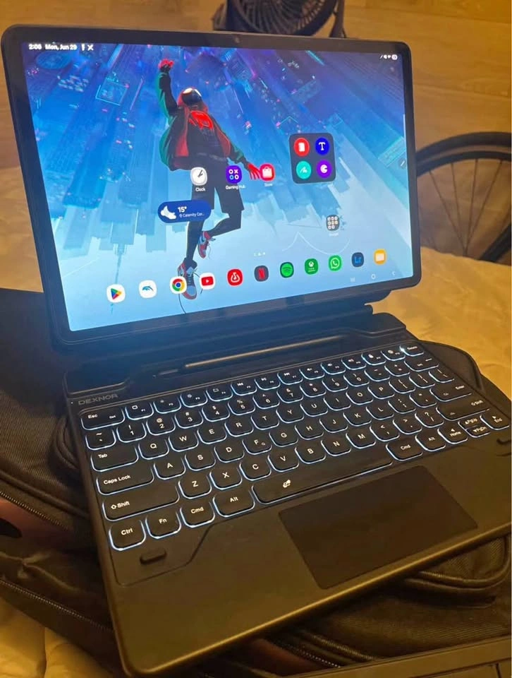 Samsung Galaxy 8+ with extras