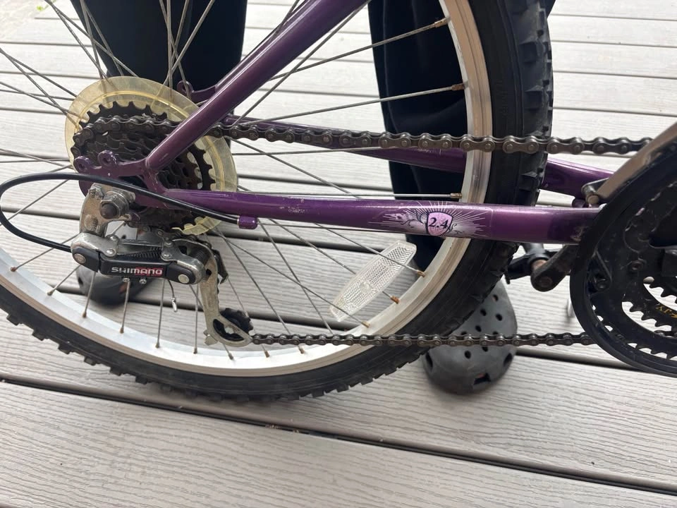 Womens Iron Horse Mountain bike 24” - photo 3
