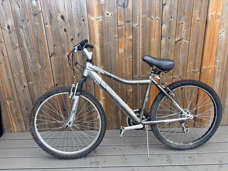 26” Mountain Bike Infinity