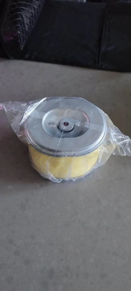 Honda Engine Air Filter - photo 3