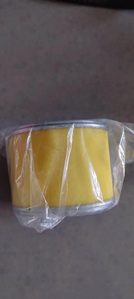 Honda Engine Air Filter - photo 4