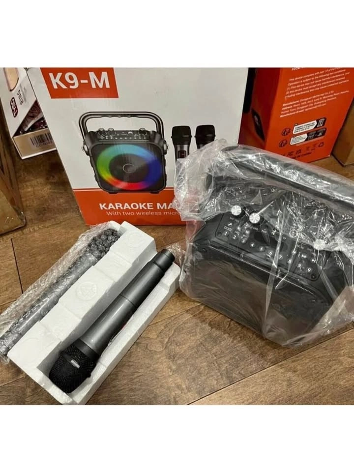 Portable Karaoke Machine with 2 Wireless Microphones and LED Lig