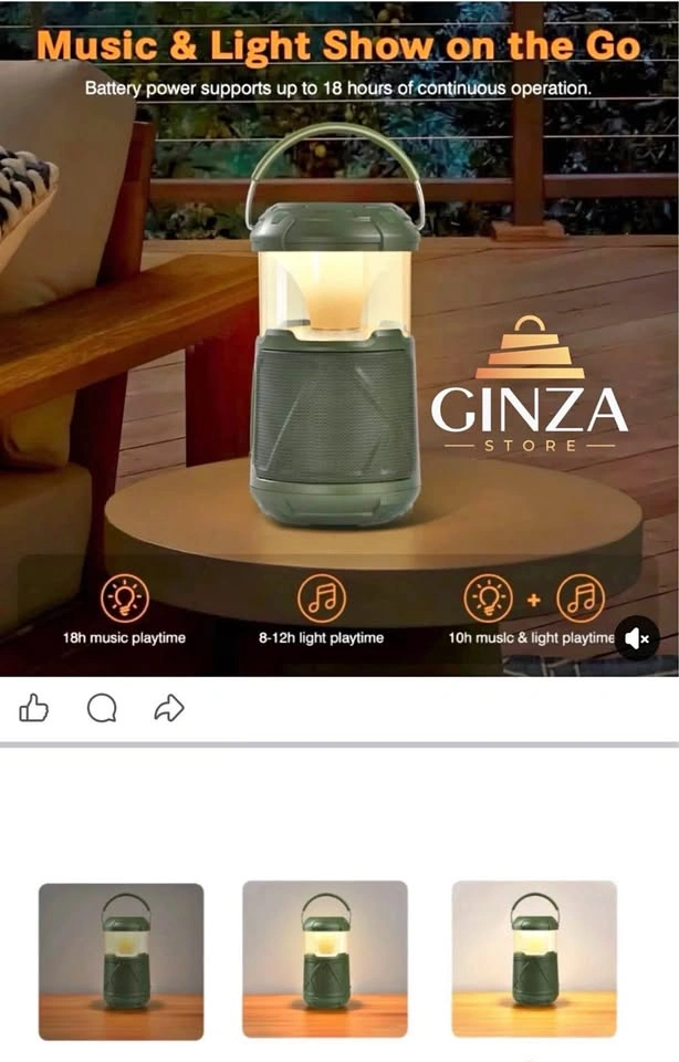 Portable Camping Lantern with Bluetooth Speaker Black and Green