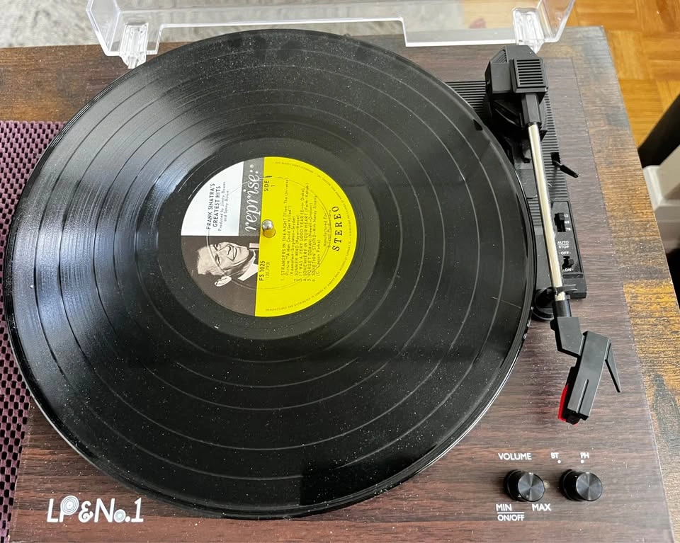 Vinyl Record Player - photo 2