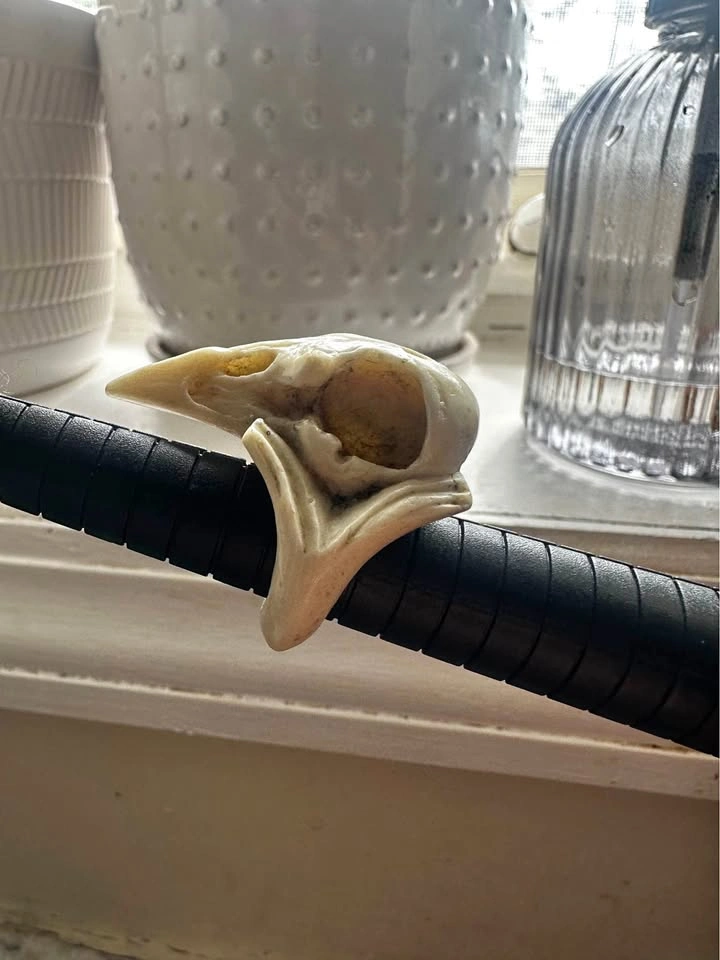 Macabre Gadgets Raven skull ring