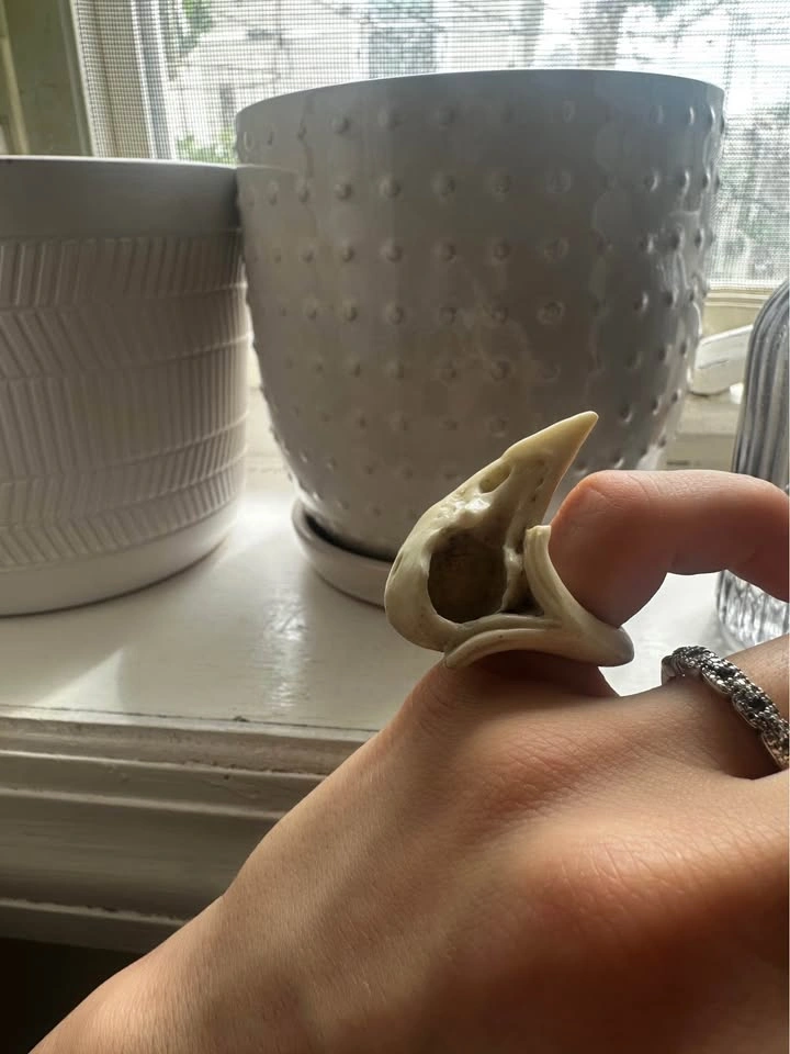 Macabre Gadgets Raven skull ring - photo 3