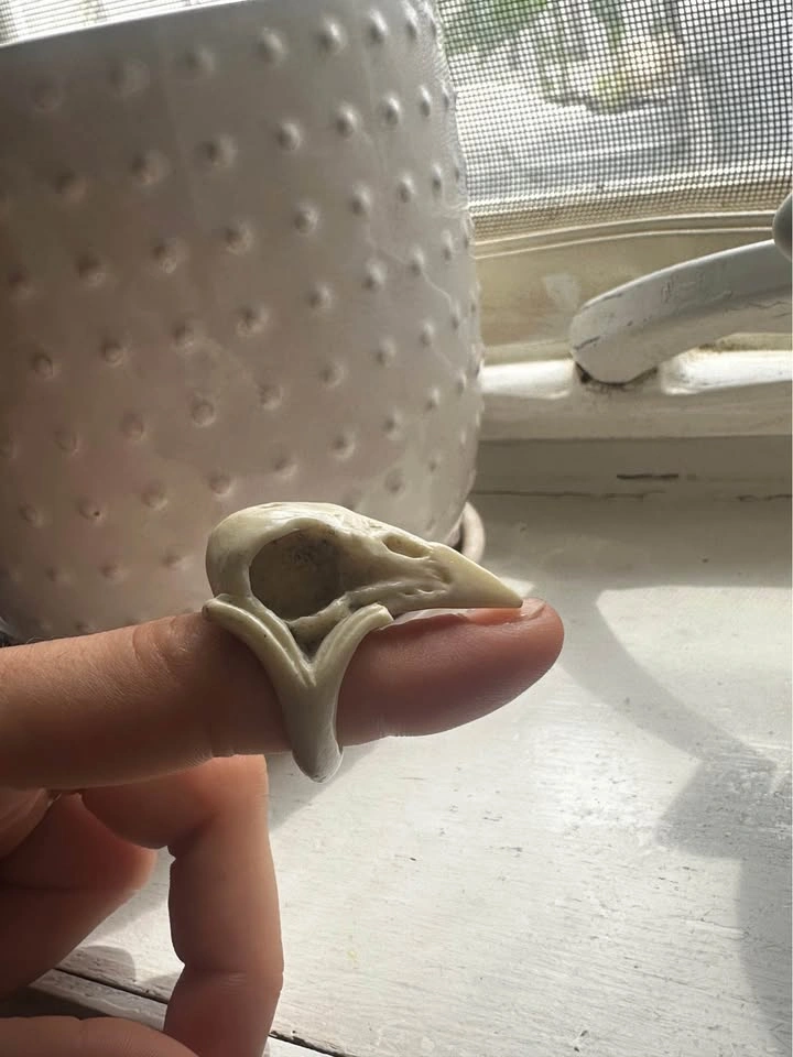 Macabre Gadgets Raven skull ring - photo 4