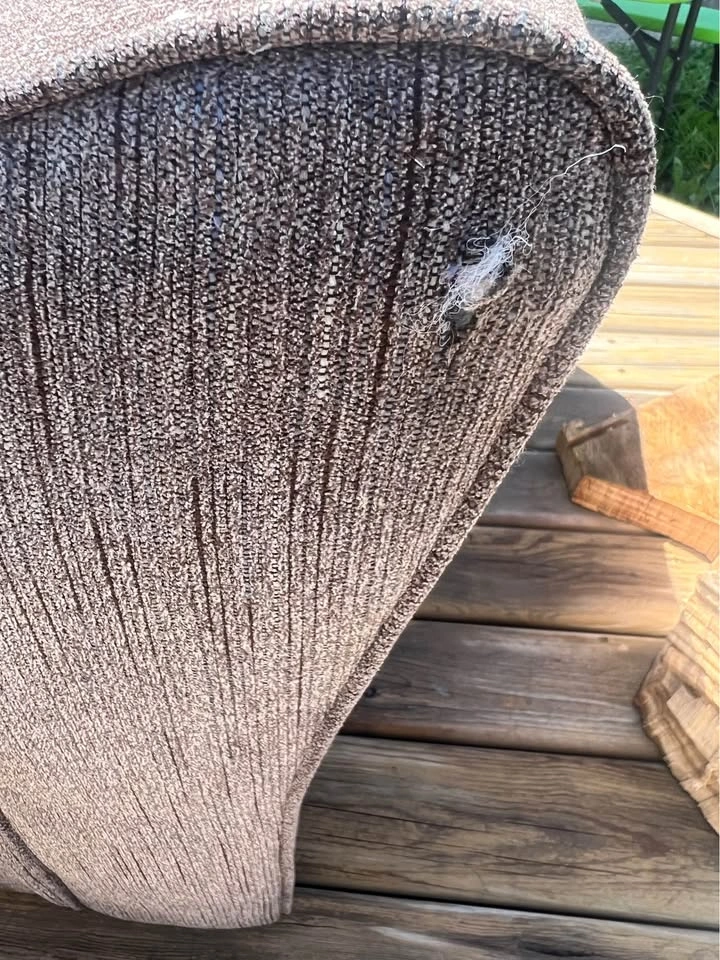 Couch for sale - photo 5