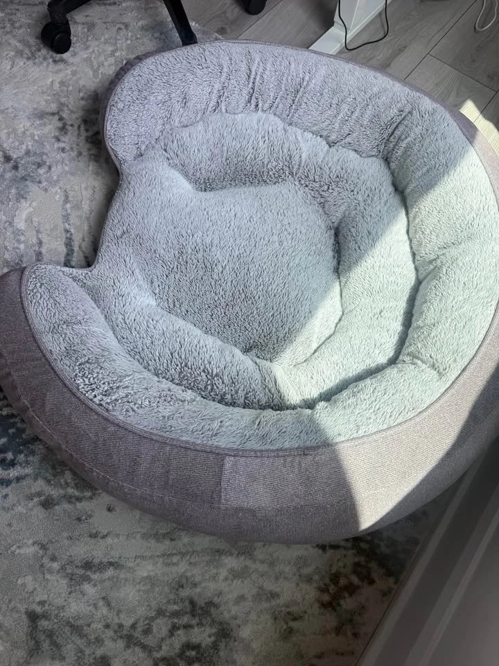 Top Paw Orthopedic Grey Lounger Dog Bed – Like New - photo 4