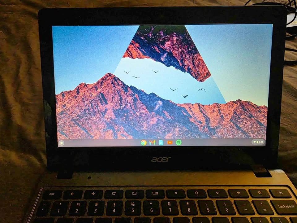 Acer Chromebook (2019)