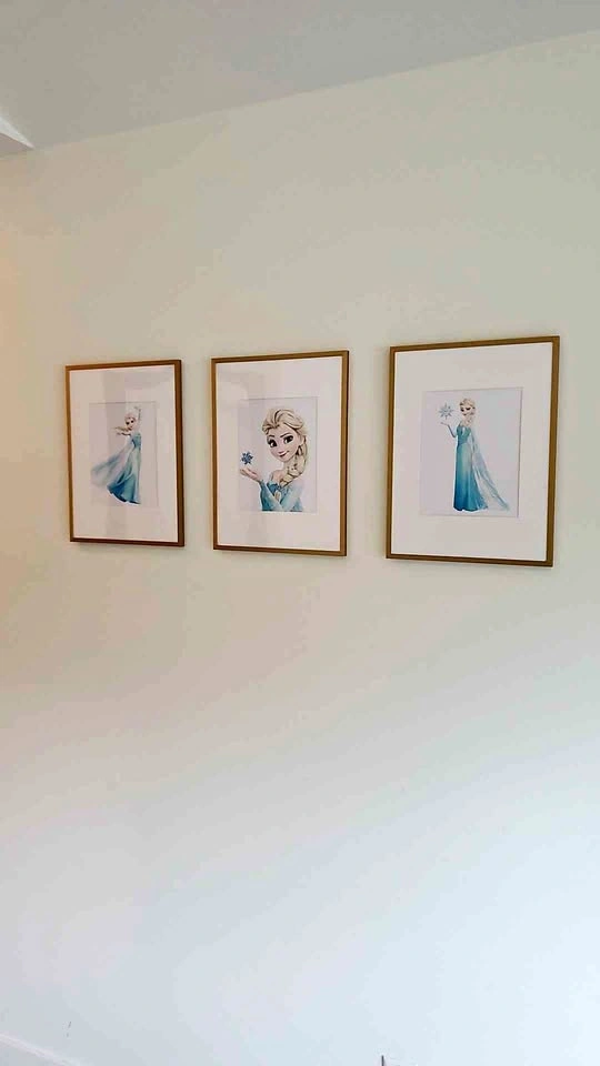 Beautiful Frozen Princess Art Set of 3