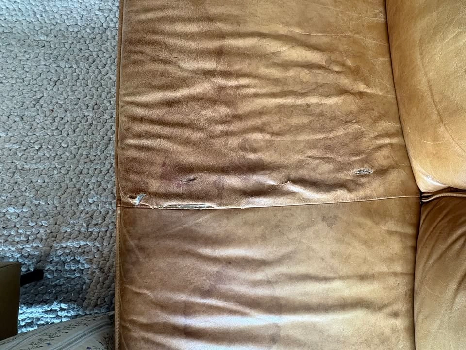 West Elm Axel 88" Genuine Leather Sofa – Modern – Good Condition - photo 3