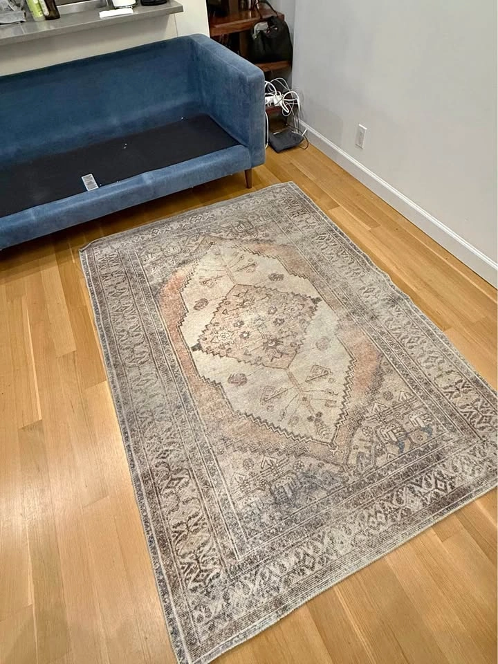 Amelie Area Rug (5x7)