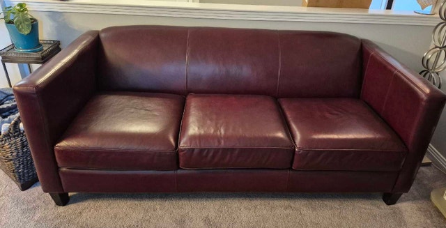 Decor-Rest Leather Sofa
