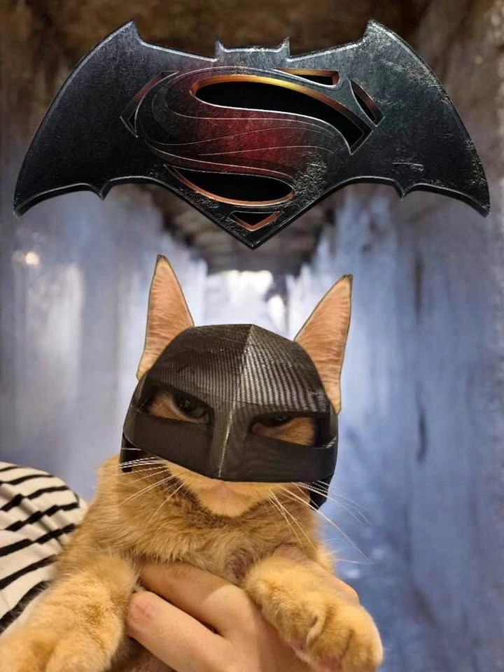 Batman v Superman Cat Mask