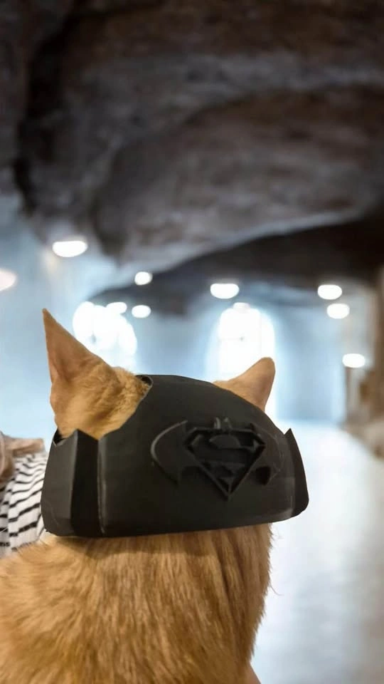 Batman v Superman Cat Mask - photo 2