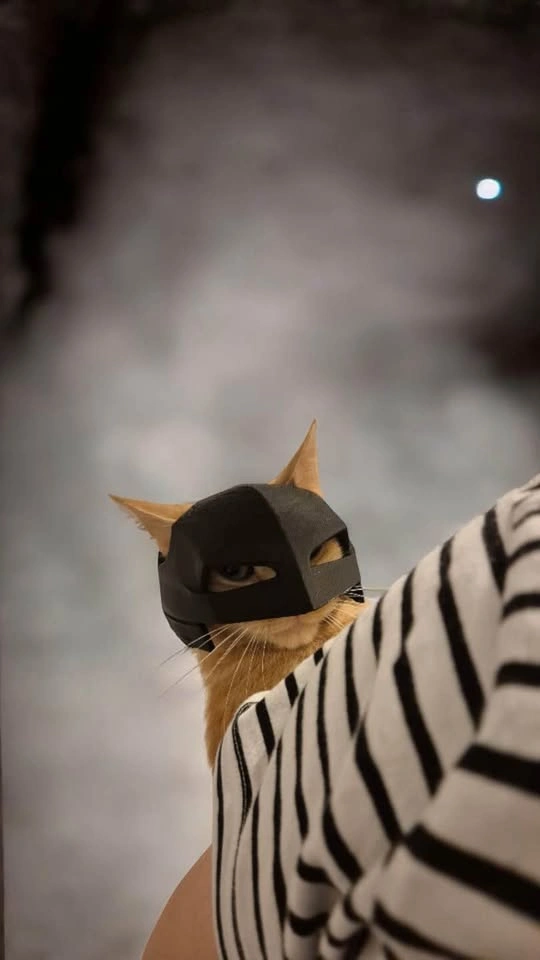 Batman v Superman Cat Mask - photo 3