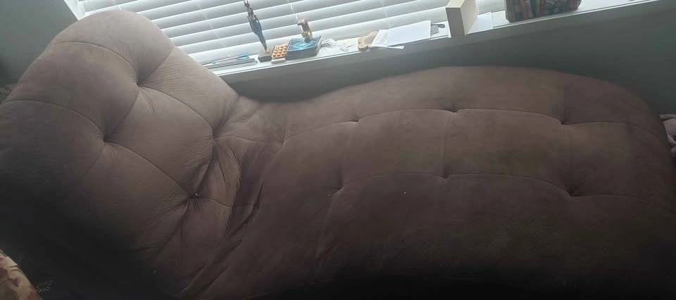 MOVEOUT SALE- CHAISE LOUNGE - photo 2