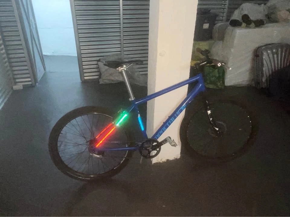 Single speed MTB 26inch - photo 2