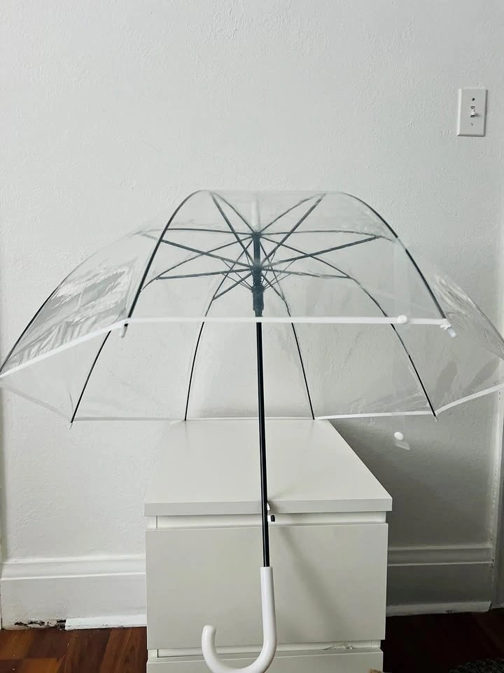 Transparent Umbrella for Wedding