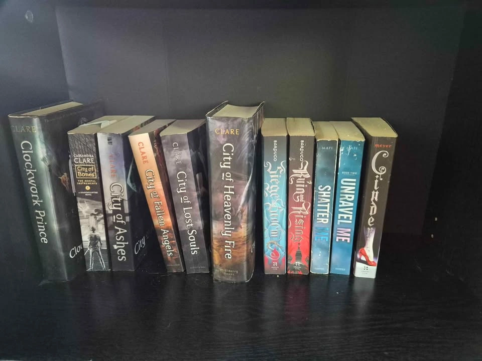 Books - photo 4